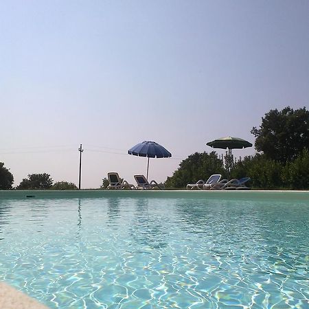 טרוויניאנו רומאנו Agriturismo Monte Dell'Olmo מראה חיצוני תמונה