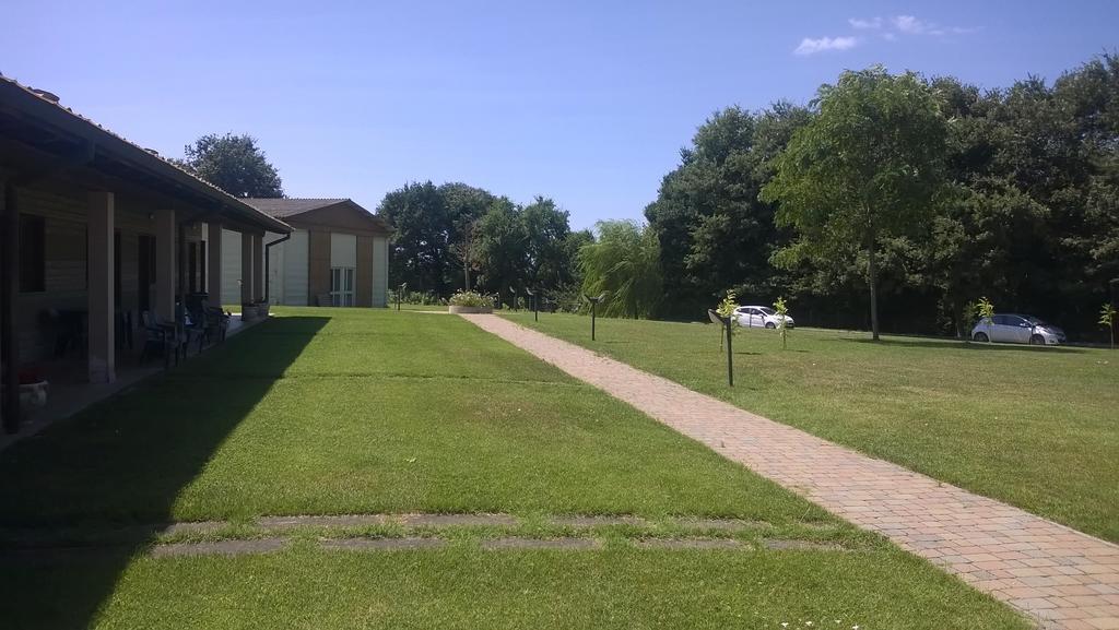 טרוויניאנו רומאנו Agriturismo Monte Dell'Olmo מראה חיצוני תמונה