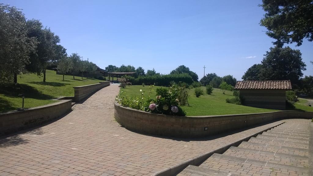 טרוויניאנו רומאנו Agriturismo Monte Dell'Olmo מראה חיצוני תמונה