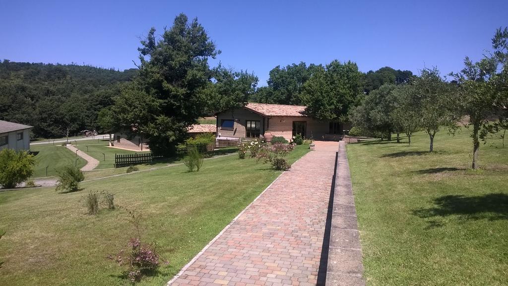 טרוויניאנו רומאנו Agriturismo Monte Dell'Olmo מראה חיצוני תמונה